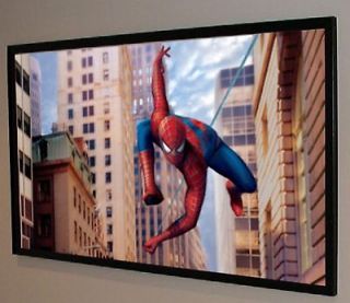 PROFESSIONAL CRT LCD DLP MOVIE PROJECTION PROJECTOR SCREEN MATERIAL 