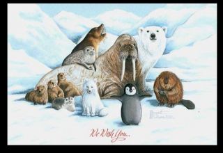   WALRUS SEALS AMERICAN ESKIMO DOG CHRISTMAS CARDS ARTFUL ANIMALS
