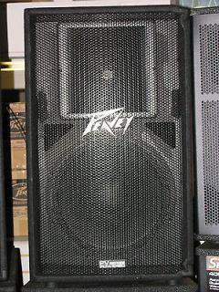 peavey pv115 in Musical Instruments & Gear