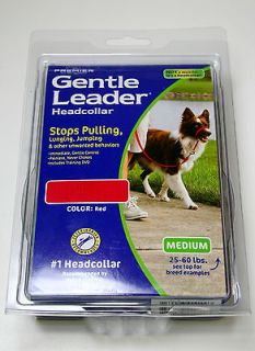 Premier Gentle Leader Dog Headcollar Stops Pulling, Jumping, and 