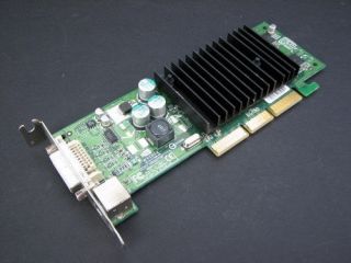 Dell/Nvidia 64MB AGP DVI TV Out Low Profile Card G0772