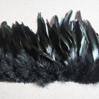black feathers in Feathers