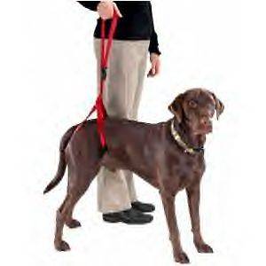 Bottoms Up Leash senior dog Harness disabled pet arthritis dysplastic 
