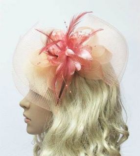 Hair Accessories Moonstone Fascinator Hat Bow Shape Party Hair Clip 