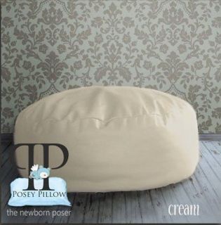   Pillow ~ Bean Bag Infant Poser photo prop, vinyl ottoman photography