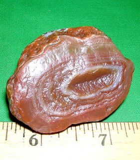 Lake Superior Agate 2+oz WIND WASHED FORTIFICATION Lapidary Gemstone