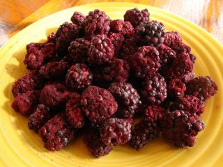 Dried Blackberries   Sugar Busters, Body for Life, Weight Watchers 