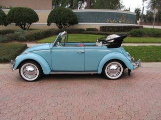 classic beetle convertible in Beetle   Classic