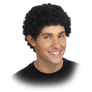 Quality Mini Afro fro African American Wig   Adult Presidential 