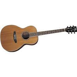 aria acoustic guitar in Acoustic