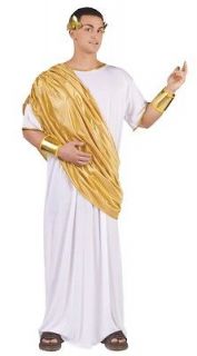 Mens Adult Roman Royal Hail Caesar White & Gold Toga Robe Costume 