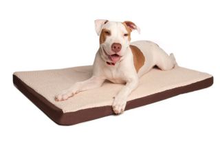 Great Paw Comfort Crate Memory Foam Dog Bed