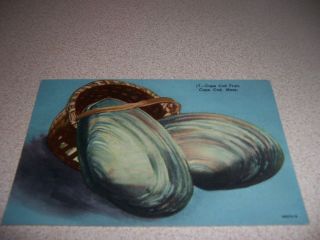 1950s CAPE COD FRUIT CLAMS in BASKET VINTAGE MASS. MA. POSTCARD