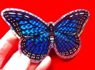   Magnet BLUE BUTTERFLY Screen Doors, Fridge, decorate, cover up holes