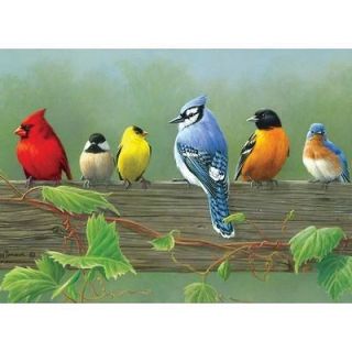 REEVES   ARTIST COLLECTION   Paint by Number   RAIL BIRDS   20 Paint 