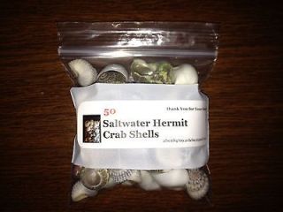 hermit crab in Pet Supplies