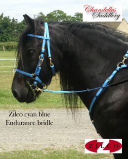 CYAN Blue arab/Cob size zilco endurance bridle