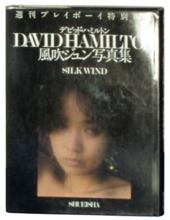 Silk Wind David Hamilton Japanese 1982 first edition Jun Fubuki