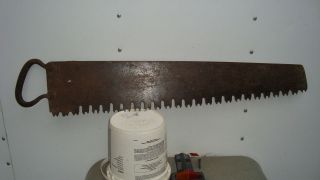 antique crosscut saws in Collectibles