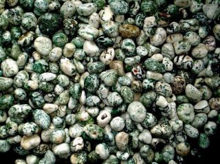   Agate Tumbled Stones Crystal Healing Reiki Tumbled & Polished Stones