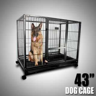 heavy duty dog crates in Crates