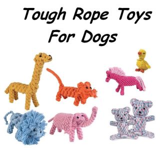tough dog toys in Toys & Chews