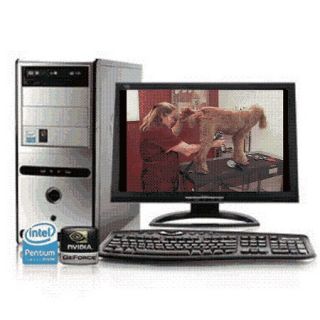 DOG GROOMING INSTRUCTION TRAINING VIDEO COURSE ON PC DVD ROM