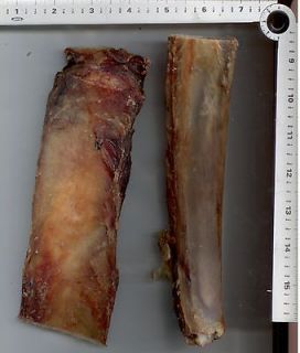 venison deer  rib bone large 8 12 dog treat 20pc