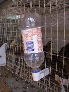 Pop Bottle Cage Waterer for Chicks and Quail Pkg of 4