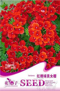 Verbena Seed ★ 30 Red Verbena Hydrangea Flowers Seeds Cute Aromatic 