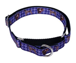 German Wirehaired Pointer Designer Ribbon Martingale Dog Collar