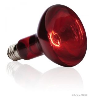 Exo Terra Reptile Heat Glo Infrared Spot Lamp Bulb 150W