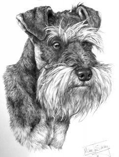 MINATURE SCHNAUZER DOG BREED DESIGN by Mike Sibley T Shirt YM to 4Xlg