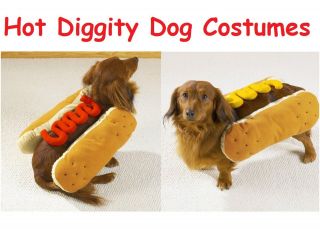 small dog costumes