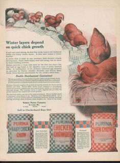   BABY CHICKEN ROOSTER HEN CHOW COWDER FARM BARN HAY FEED SEED BAG AD