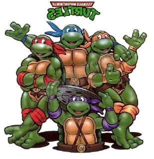   Mutant Ninja Turtles TMNT Iron On T Shirt Transfer Set Style TMNT01