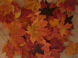 Fall Leaves Fall Wedding Decorations 102 Real Pressed F