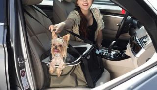LUXURY TRANSPORT PET CARRIER DOG CAR BOOSTER SEAT