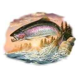 Fishing Tshirt Rainbow Morning Trout Fly Fishing Nymph Bait Lure Bass 