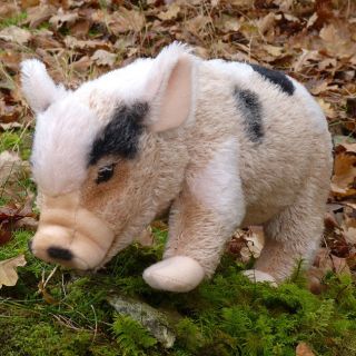Billy Micro Pig sandy with large black spots soft toy by Kosen 