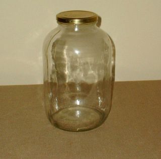 gallon glass jar in Home & Garden