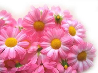 12X Pink Gerbera Daisy Heads Artificial Silk Flower Wedding Lot 