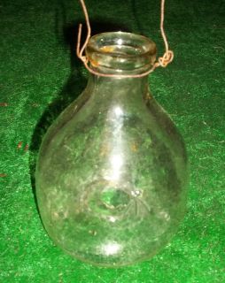 VINTAGE,OLD,GENUINE,GLASS,WASP,TRAP,TABLEWARE,DISPLAY,COLLECTABLE,GIFT