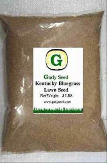 Kentucky Bluegrass Grass Seed   Beautiful Lawn 12 lbs  Direct from 