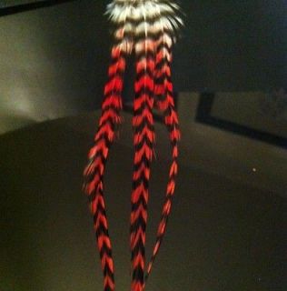 Real Grizzly Feather Hair Extensions White And Red 2tone Whiting 