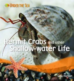Hermit Crabs and Other Shallow Water Life (Paperback)
