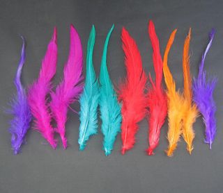  of Mixed Colors 40Pcs Feathers hair for extensions 6 8inch long