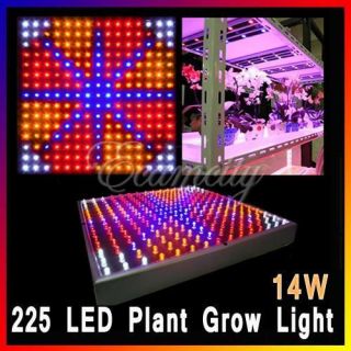 indoor grow lights in Grow Lights