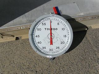TOLEDO HANGING SCALE,PRODUCE SCALE, BASKET SCALE,SCALE,