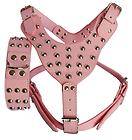 leather dog harness small in Harnesses